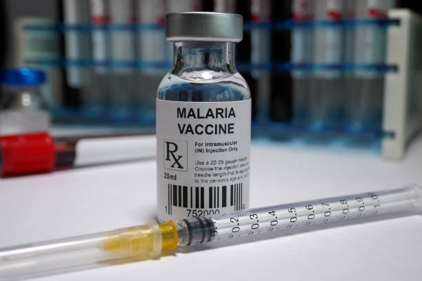 Cara Mencegah Malaria Panduan Lengkap untuk Kesehatan Anda